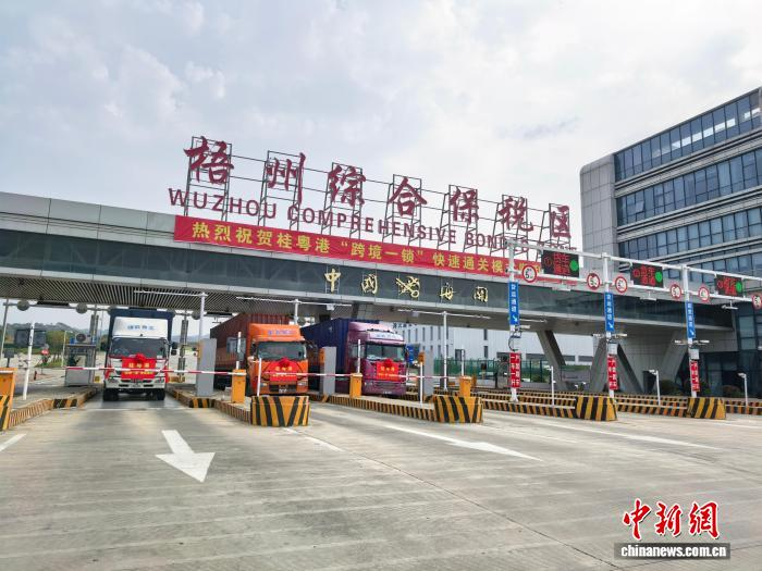 桂粤港跨境一锁快速通关模式在广西正式启动